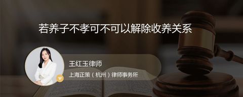 若养子不孝可不可以解除收养关系
