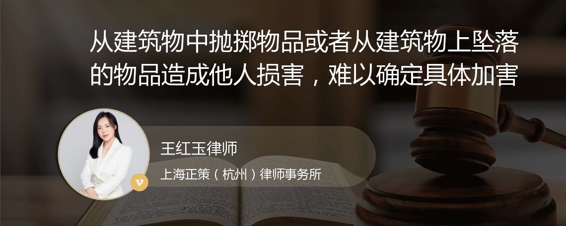 从建筑物中抛掷物品或者从建筑物上坠落的物品造成他人损害，难以确定具体加害人时，受害人如何获得救济？