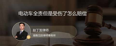 电动车全责但是受伤了怎么赔偿