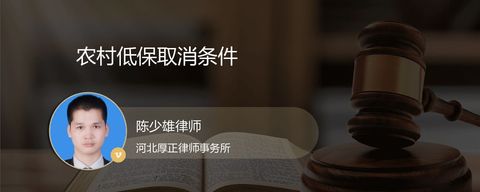 农村低保取消条件
