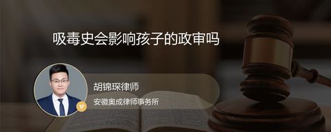 吸毒史会影响孩子的政审吗