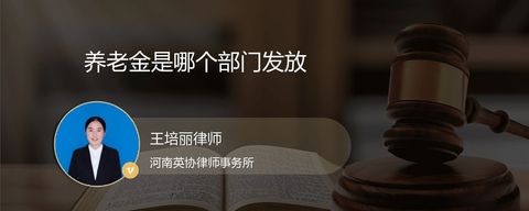 养老金是哪个部门发放？