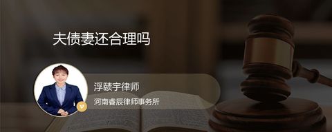 夫债妻还合理吗