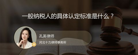 一般纳税人的具体认定标准是什么？