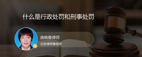 什么是行政处罚和刑事处罚