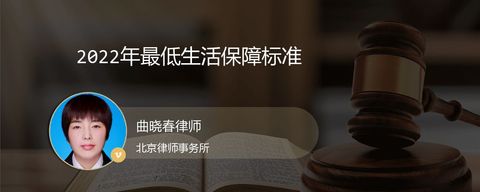2022年最低生活保障标准