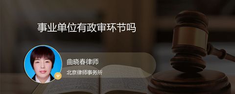 事业单位有政审环节吗