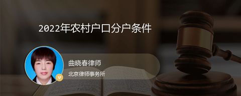 2022年农村户口分户条件