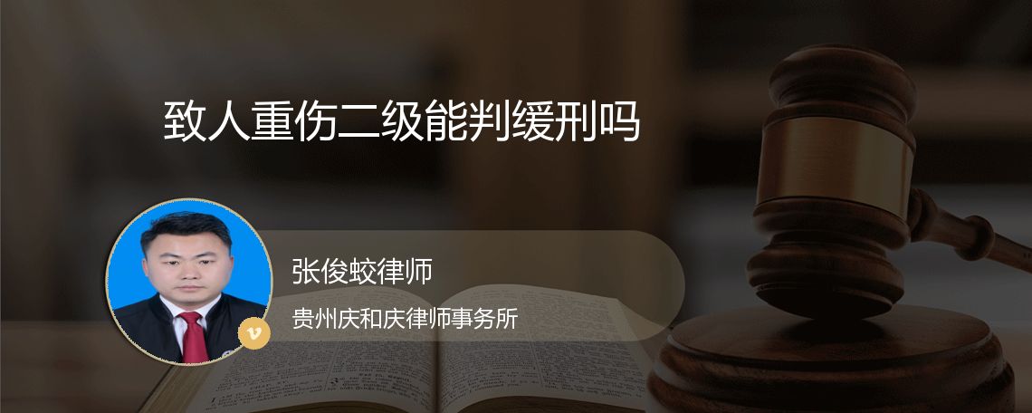 致人重伤二级能判缓刑吗