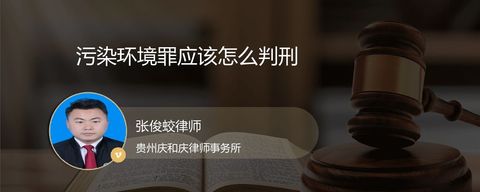 污染环境罪应该怎么判刑
