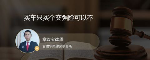 买车只买个交强险可以不