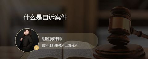 什么是自诉案件