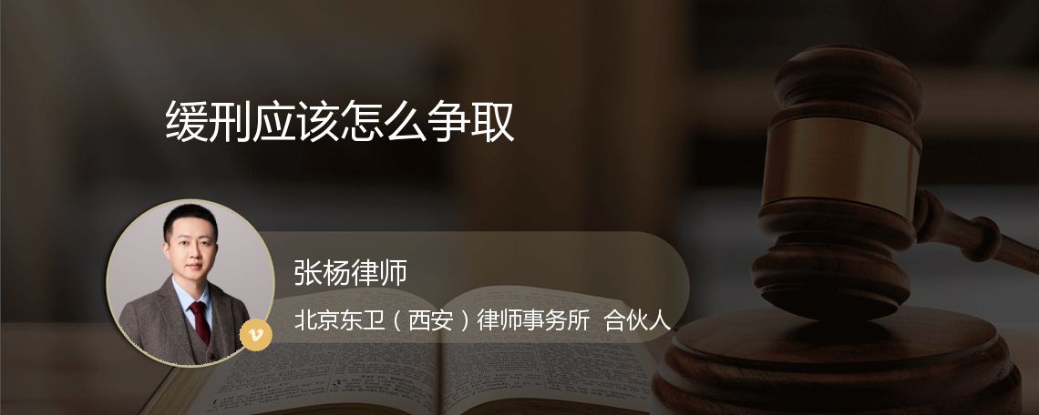 缓刑应该怎么争取