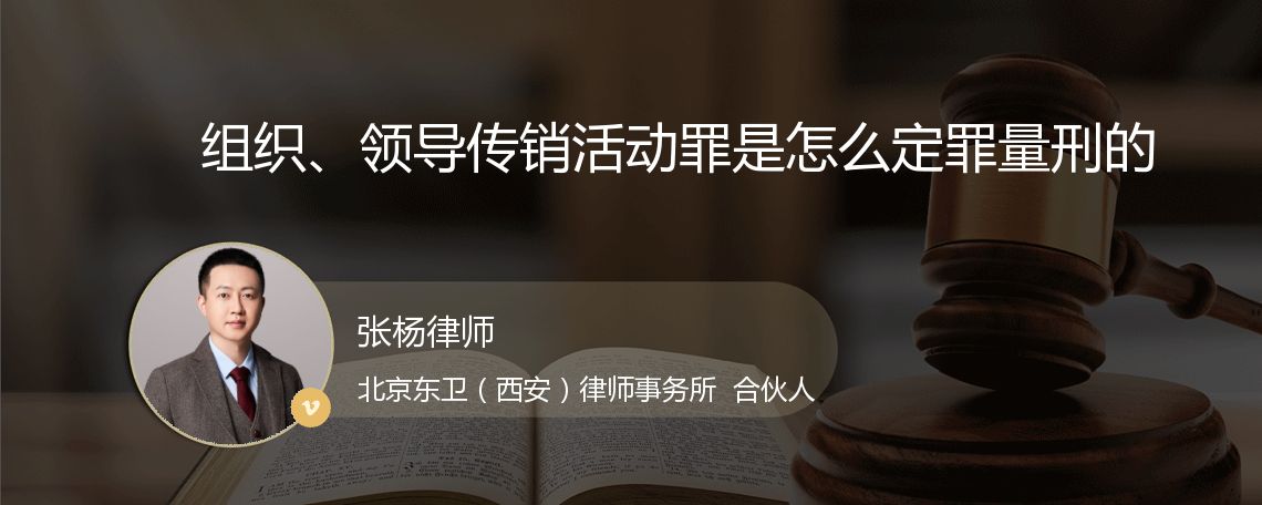 组织、领导传销活动罪是怎么定罪量刑的