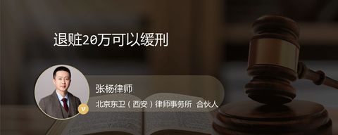 退赃20万可以缓刑