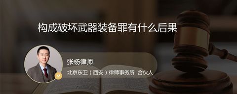 构成破坏武器装备罪有什么后果