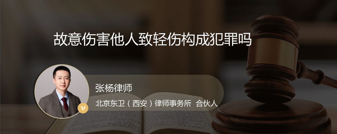 故意伤害他人致轻伤构成犯罪吗