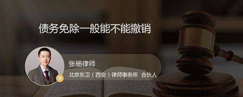 债务免除一般能不能撤销