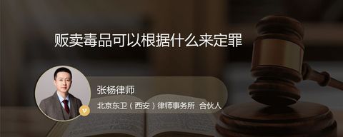 贩卖毒品可以根据什么来定罪