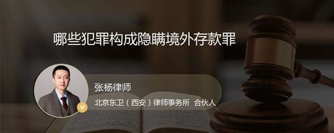 哪些犯罪构成隐瞒境外存款罪