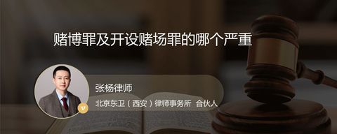 赌博罪及开设赌场罪的哪个严重