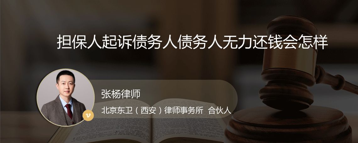 担保人起诉债务人债务人无力还钱会怎样