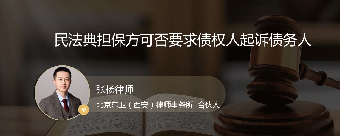 民法典担保方可否要求债权人起诉债务人