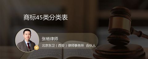 商标45类分类表