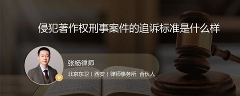侵犯著作权刑事案件的追诉标准是什么样