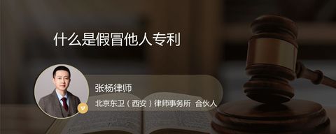 什么是假冒他人专利