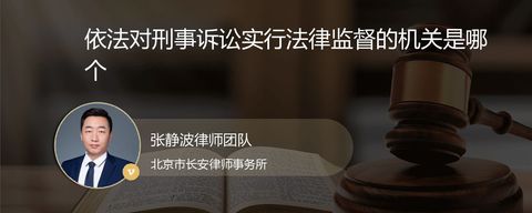 依法对刑事诉讼实行法律监督的机关是哪个