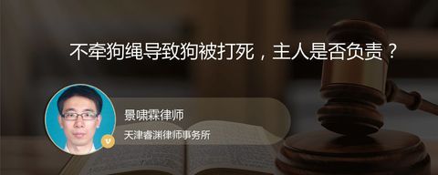 不牵狗绳导致狗被打死，主人是否负责？