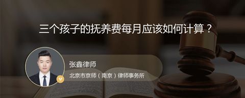 三个孩子的抚养费每月应该如何计算？
