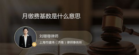 月缴费基数是什么意思
