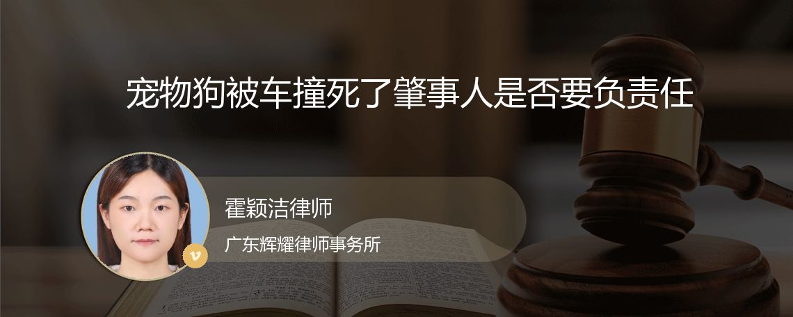 宠物狗被车撞死了肇事人是否要负责任