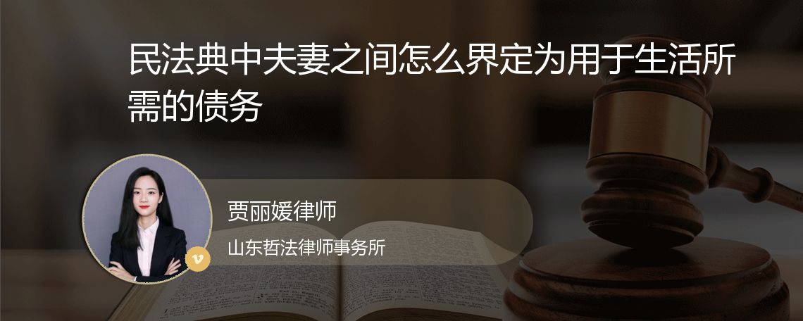 民法典中夫妻之间怎么界定为用于生活所需的债务