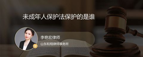 未成年人保护法保护的是谁