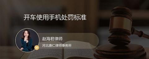 开车使用手机处罚标准