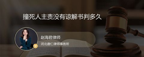 撞死人主责没有谅解书判多久