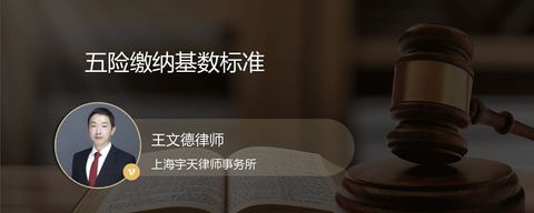 五险缴纳基数标准