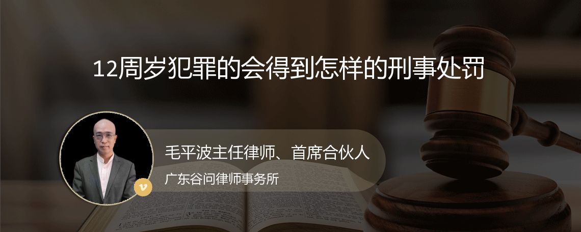 12周岁犯罪的会得到怎样的刑事处罚