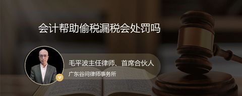 会计帮助偷税漏税会处罚吗