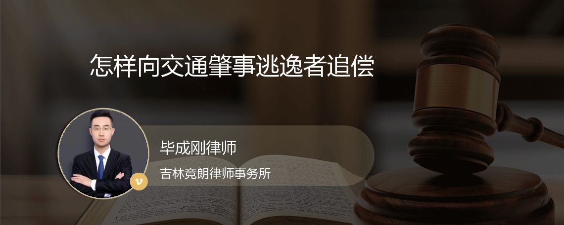 怎样向交通肇事逃逸者追偿