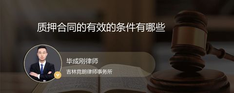 质押合同的有效的条件有哪些