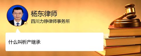 什么叫析产继承？