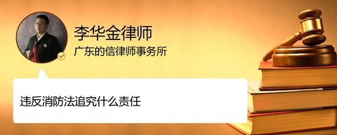 违反消防法追究什么责任