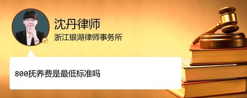 800抚养费是最低标准吗