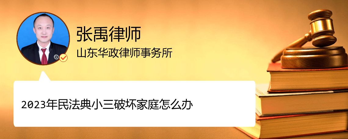 2023年民法典小三破坏家庭怎么办