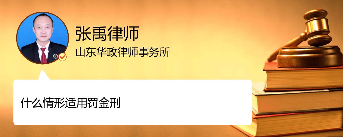 什么情形适用罚金刑