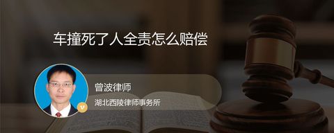 车撞死了人全责怎么赔偿
